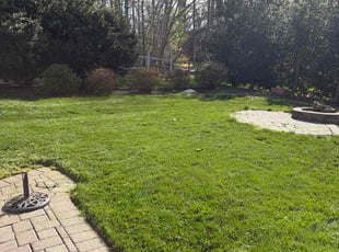 Geoff P.'s turf care service result