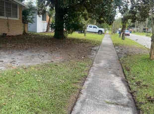 Gian-Paul L.'s grass cutting service result