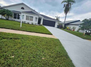 Andres A.'s lawn service service result