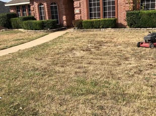Patrick A.'s Bush Trimming service result