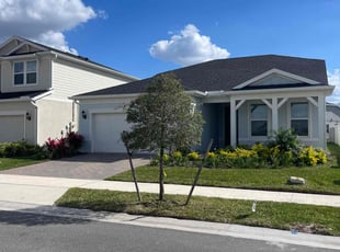 Debra B.'s turf care service result