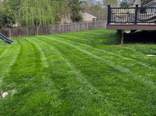 Sarah v.'s turf care service result