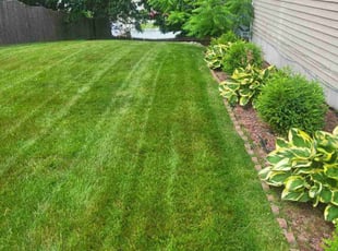 Rachel B.'s turf care service result