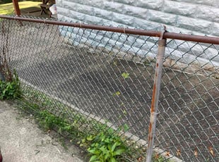 Beverly D.'s Bush Trimming service result