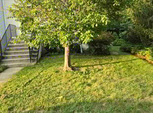 Jim M.'s grass cutting service result