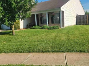 Crystal P.'s turf care service result