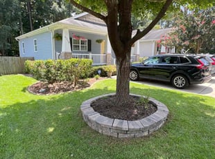 Kathy D.'s lawn maintenance service result