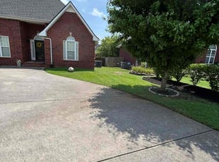 Celestine K.'s lawn maintenance service result