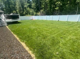 Barbara S.'s turf care service result
