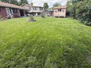 Lane J.'s lawn service service result