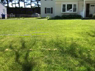 Melanie M.'s turf care service result