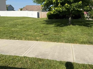 Rick G.'s turf care service result