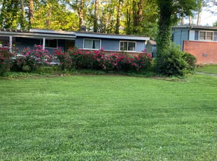 Melanie K.'s lawn maintenance service result