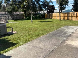 Jeri K.'s turf care service result