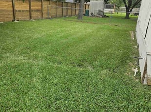 Evan D.'s lawn service service result