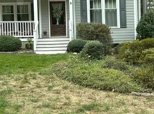 Andrea A.'s Bush Trimming service result