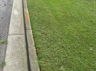 Portia M.'s lawn care service result