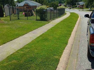 Jason P.'s grass maintenance service result