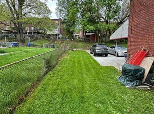 David F.'s turf care service result