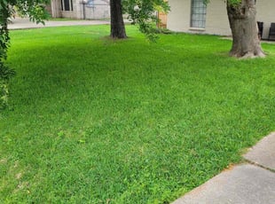 Patricia W.'s grass cutting service result
