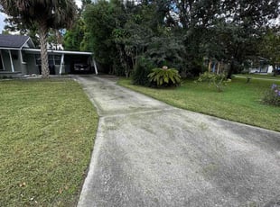 Sandy R.'s lawn maintenance service result