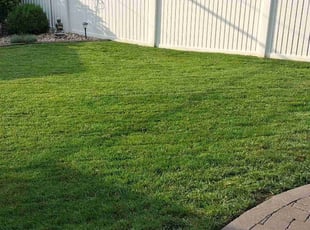 Jimmy K.'s grass maintenance service result