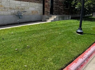 Angela T.'s lawn maintenance service result