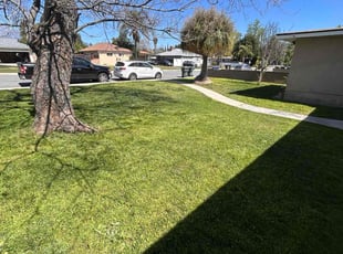 Kassandra C.'s lawn maintenance service result
