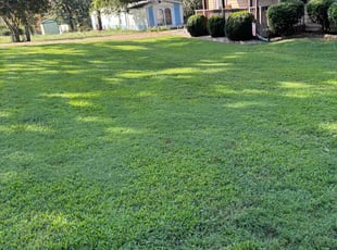 Brad P.'s lawn care services service result