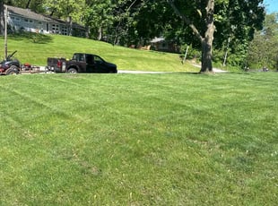 Michelle J.'s turf maintenance service result