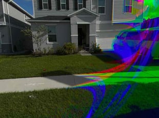 Alejandro P.'s turf care service result