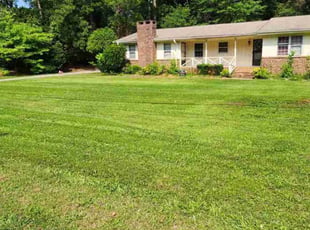Michael S.'s lawn maintenance service result