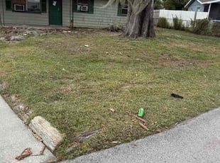 Beth H.'s turf care service result