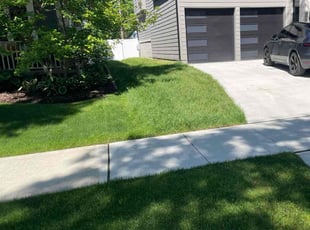 Kamilah W.'s lawn maintenance service result