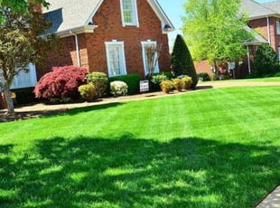 Sable C.'s lawn care service result