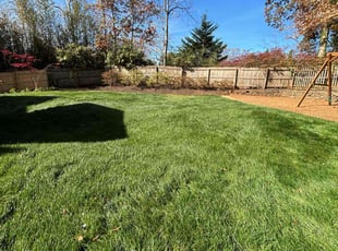 Joe D.'s Leaf Removal service result