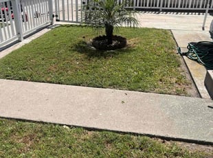 Jesse V.'s grass cutting service result