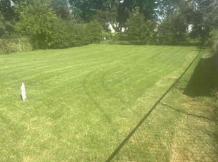 Andrew B.'s turf care service result