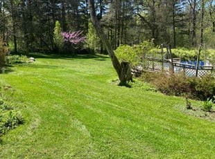 Kenneth K.'s grass cutting service result
