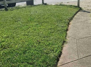 Elsie B.'s grass maintenance service result