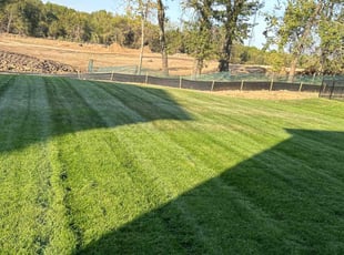Denise T.'s turf maintenance service result