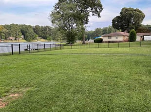 Laurence A.'s lawn care services service result