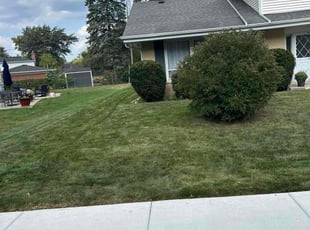 Jordan G.'s turf care service result