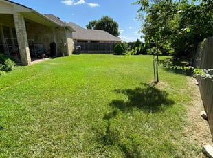 Brittany C.'s lawn care services service result