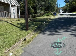 Jim A.'s turf care service result