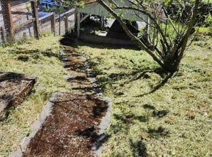 Katy G.'s Cleanups service result