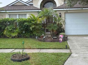 Taffani C.'s lawn service service result