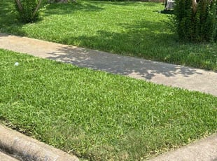 Paula C.'s lawn care service result