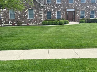 Justin C.'s yard service service result