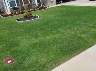 Jakob R.'s lawn service service result